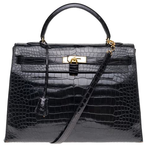 hermes l'atroce|Hermes crocodile porosus.